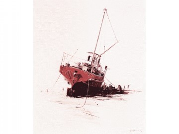The Irene